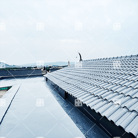 天冬向日葵成人网站